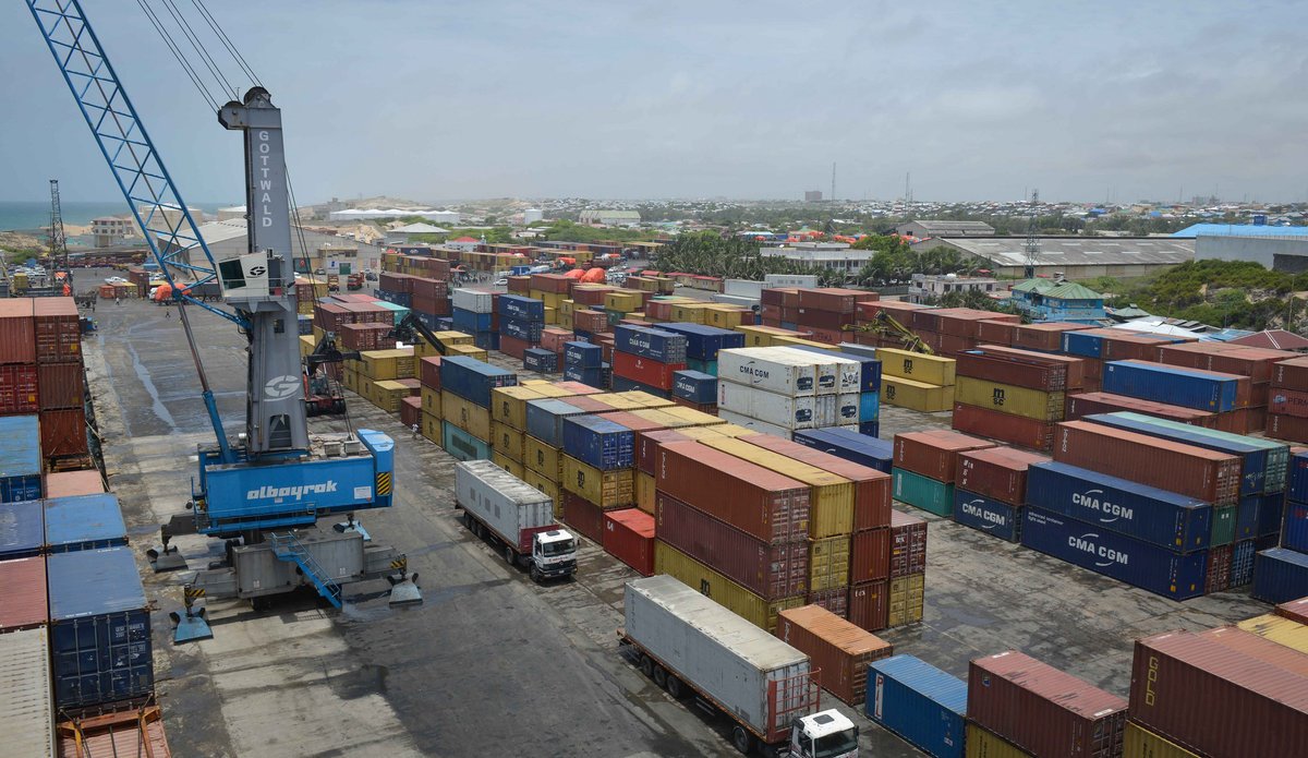 Somalia Approves Maritime Transport Agreement with Türkiye and Accedes to Key International Maritime Conventions